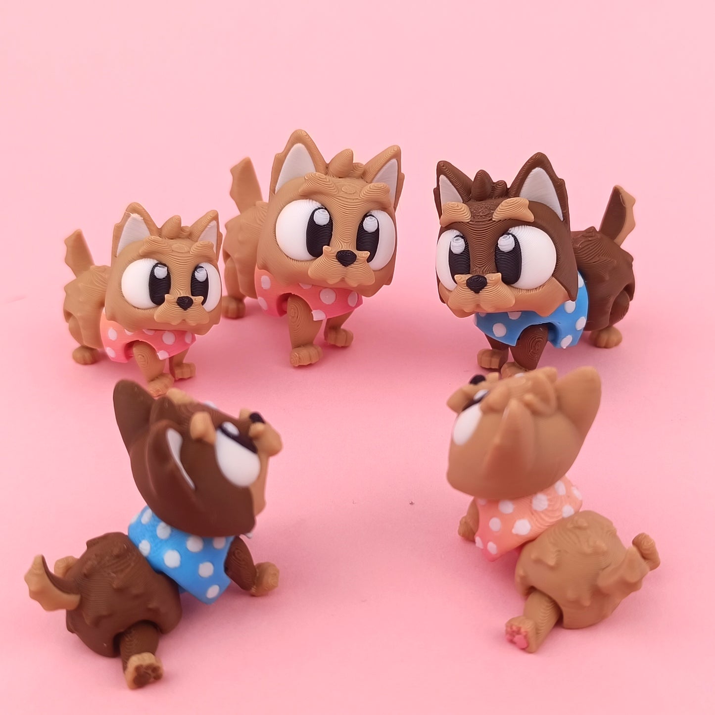 pocket pets