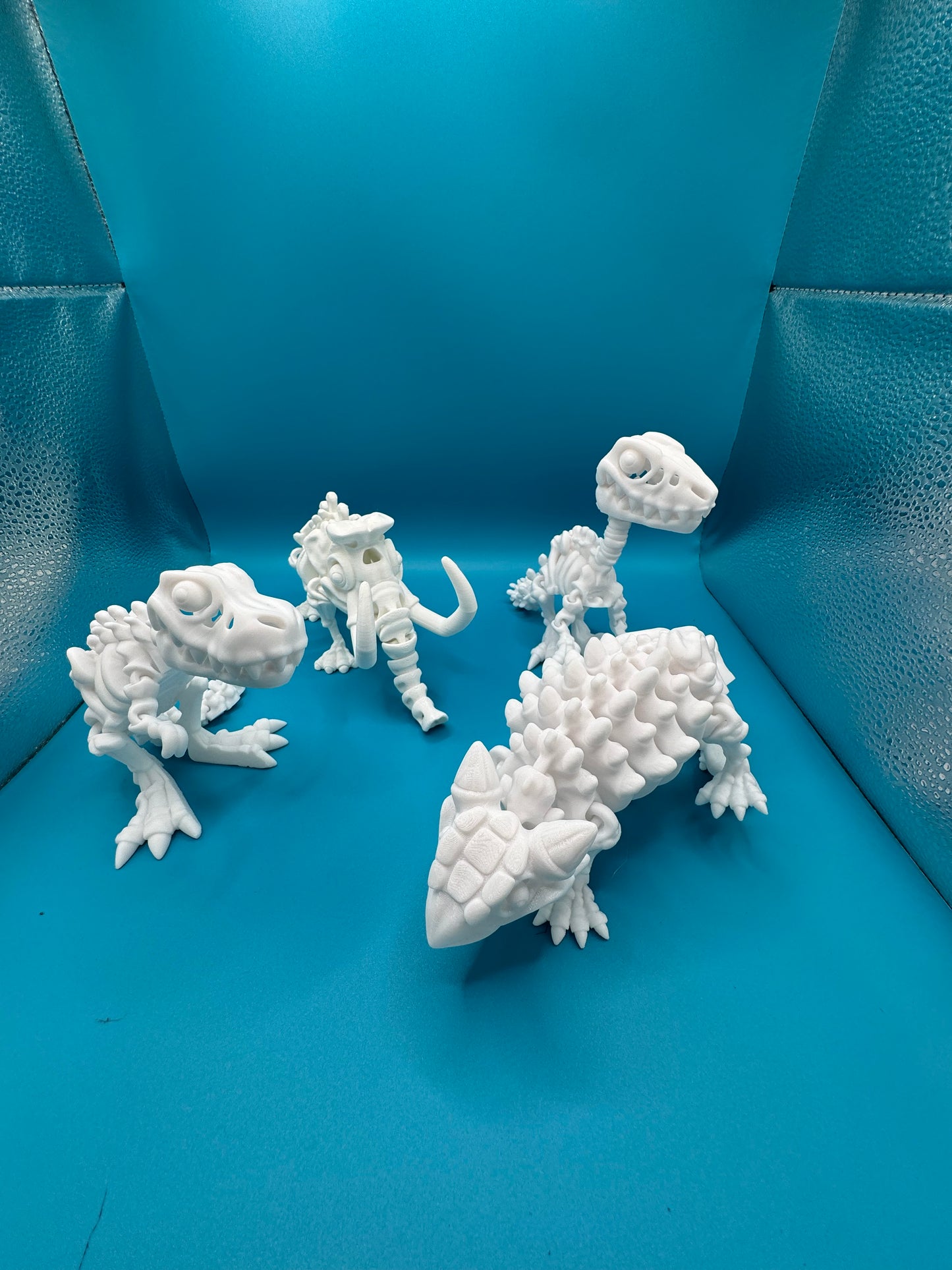 flexi dino  skeletons