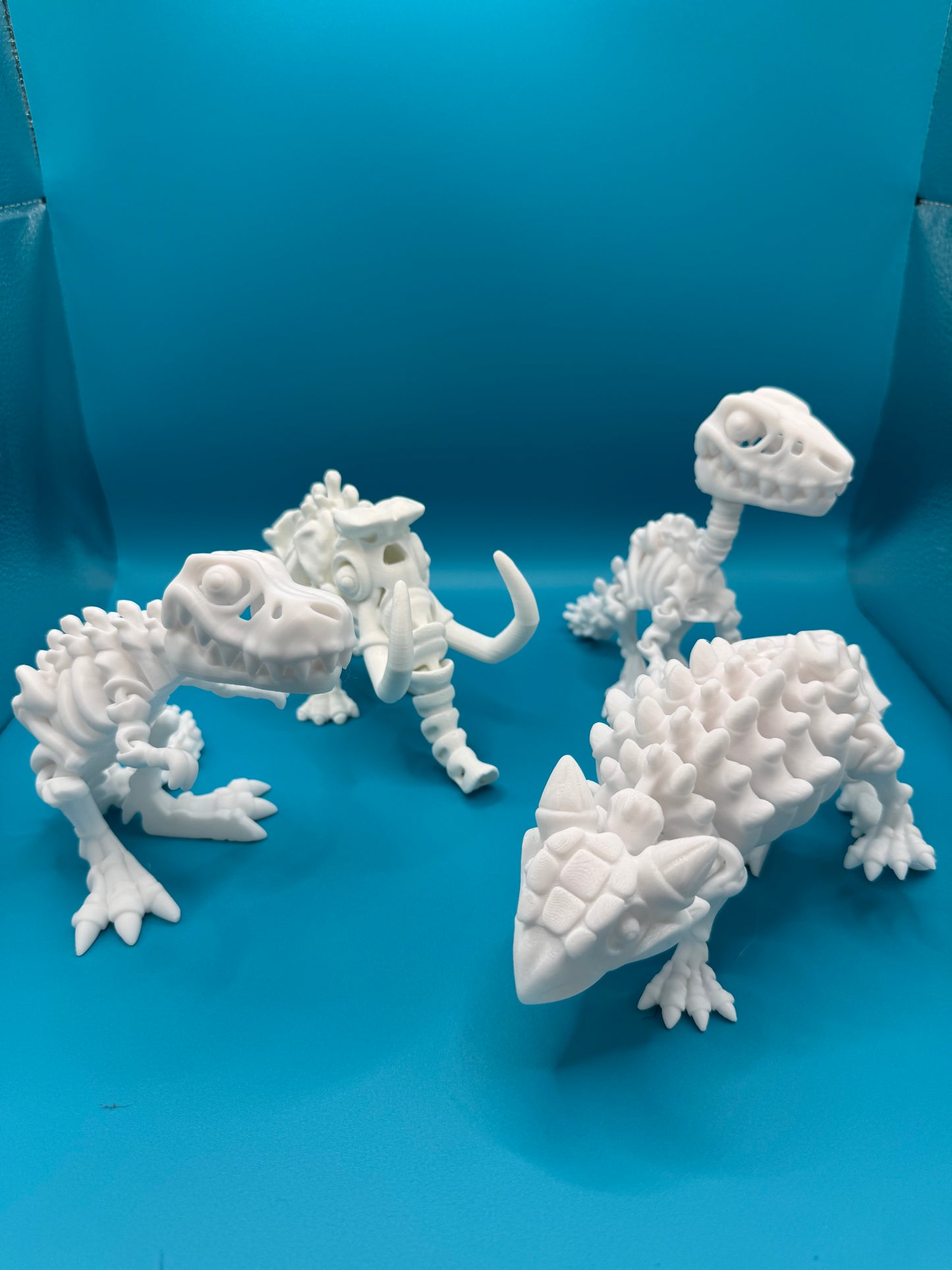 flexi dino  skeletons