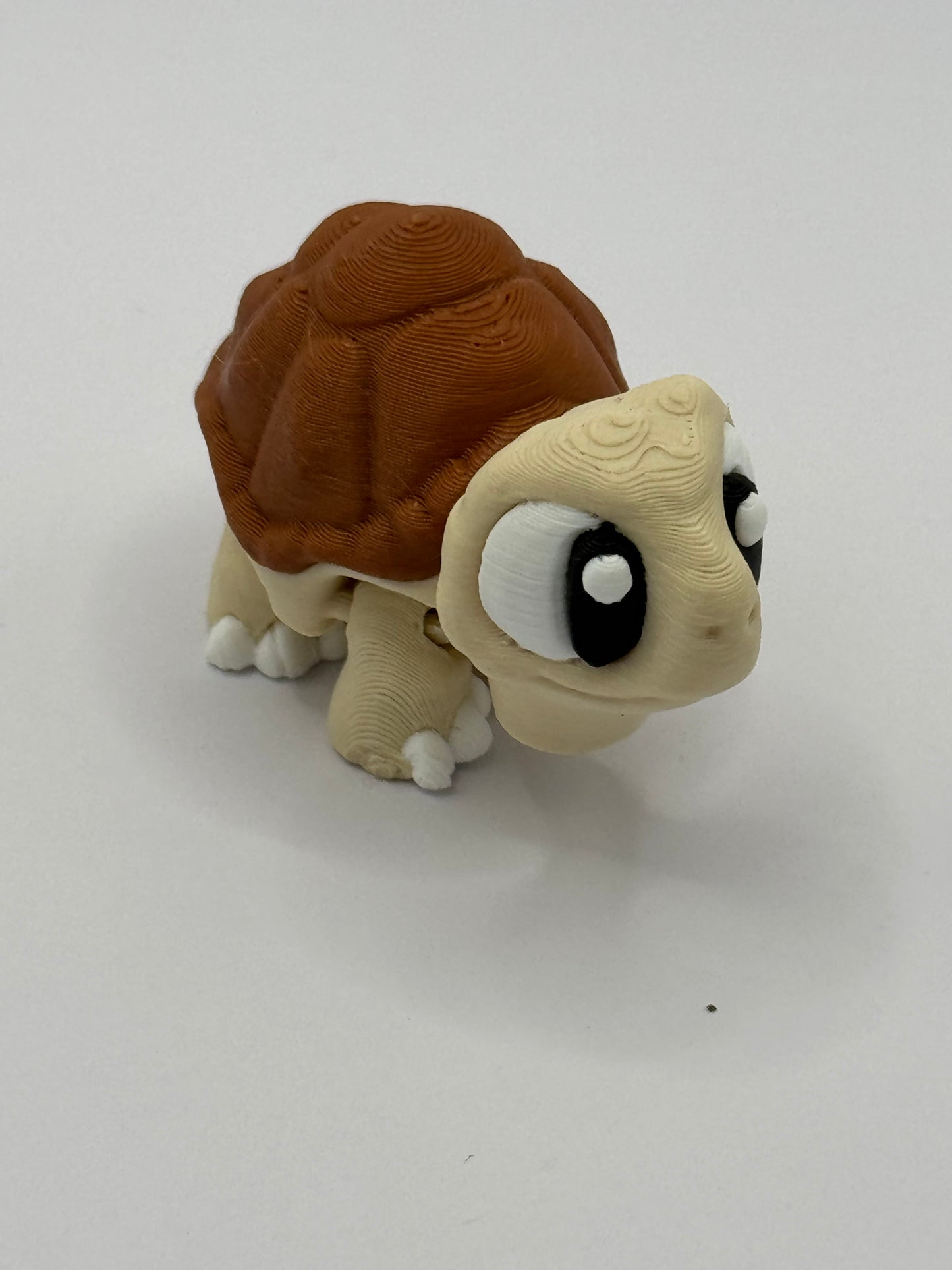 pocket pets