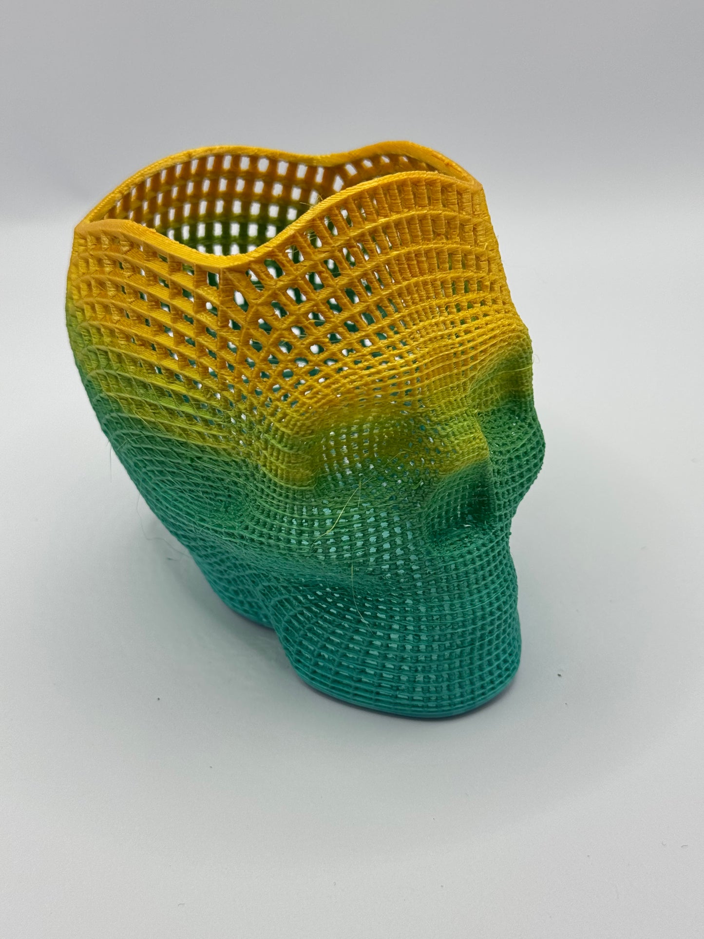 pen holder mesh skull
