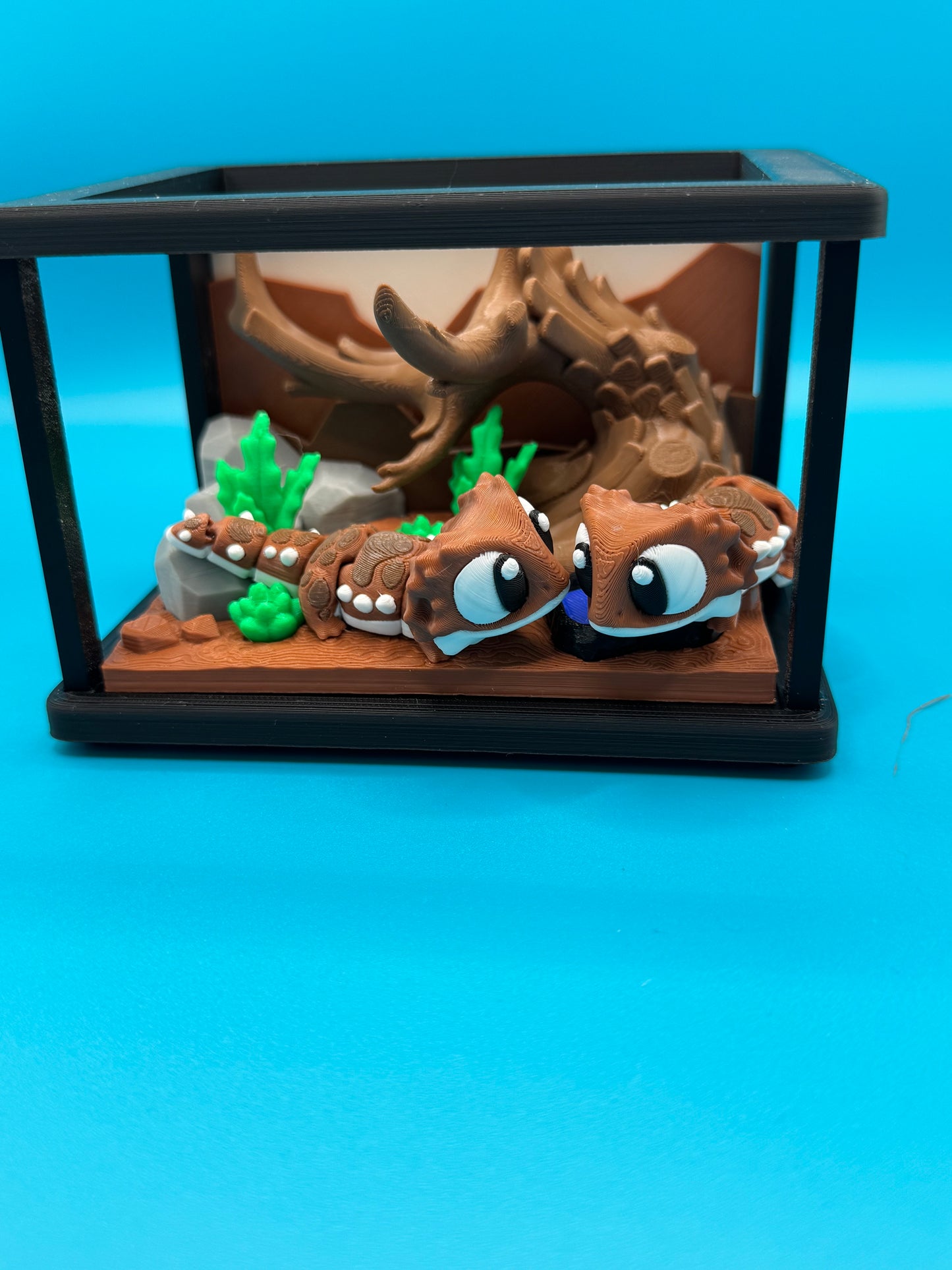 Pocket pets bearded dragon and habitat