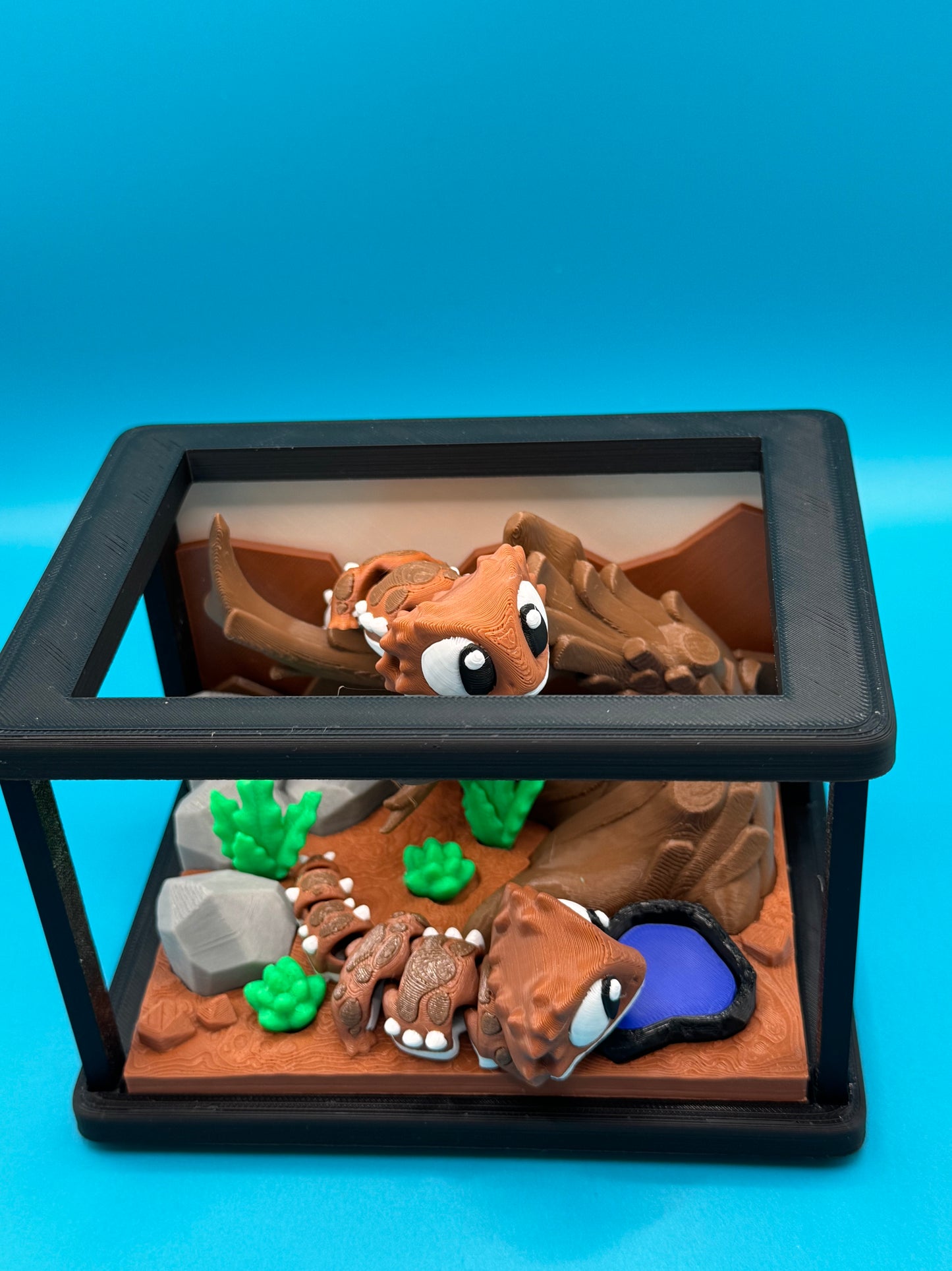 Pocket pets bearded dragon and habitat